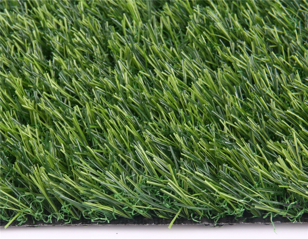 经济款景观休闲草