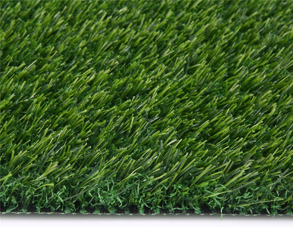 品质款景观休闲草