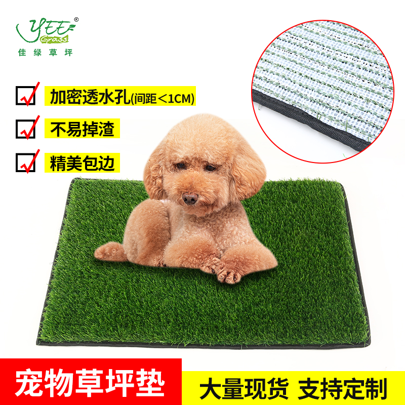 【包边】透明胶底宠物草